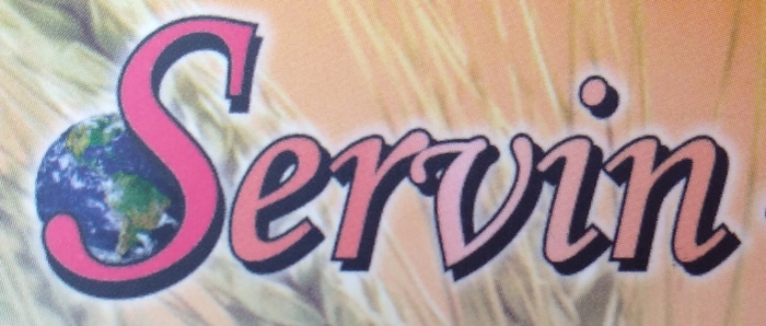Servín